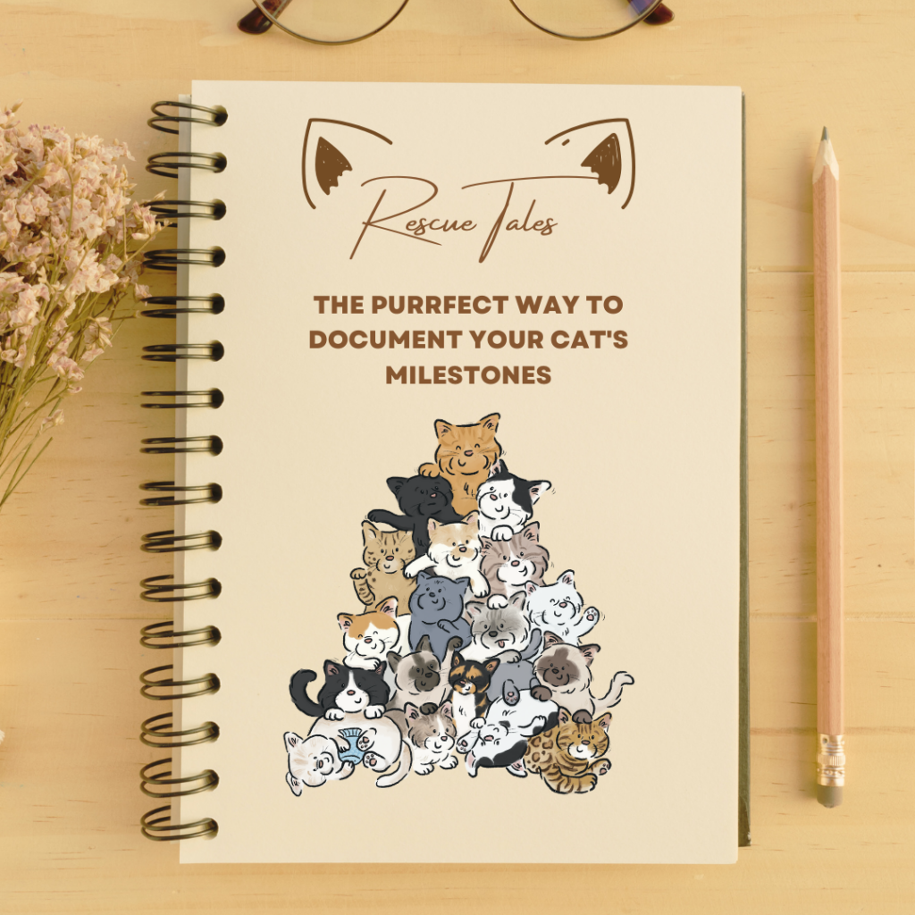 Rescue tales cat edition